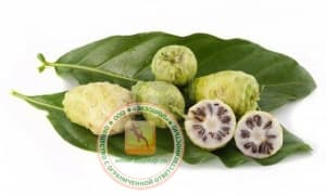 ЧАЙ НОНИ - MORINDA CITRIFOLIA - (NONI TEA - TRA TRAI NHAU) - 20 ПАКЕТИКОВ ПО 2 ГР. - 40 ГР.  ВЬЕТНАМ.